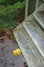 Dusty Snow on the Steps