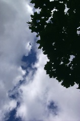 Clouds touched by the sun.