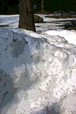 Snow and patches of grass.