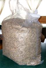 Sunflower Seeds in Bulk