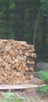 stacked firewood