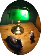 Wooden Ducks out of Water