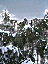 Ice sheet hanging down from the roof, obscuring the view of the sky.