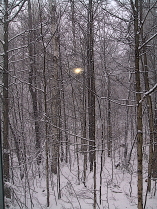 First Snow Squall of the Season