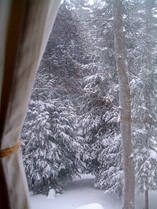 View from my desk during a snow squall.