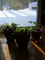 sun rays across the floor